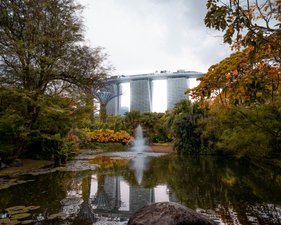 a pond with a waterfall in the middle of it